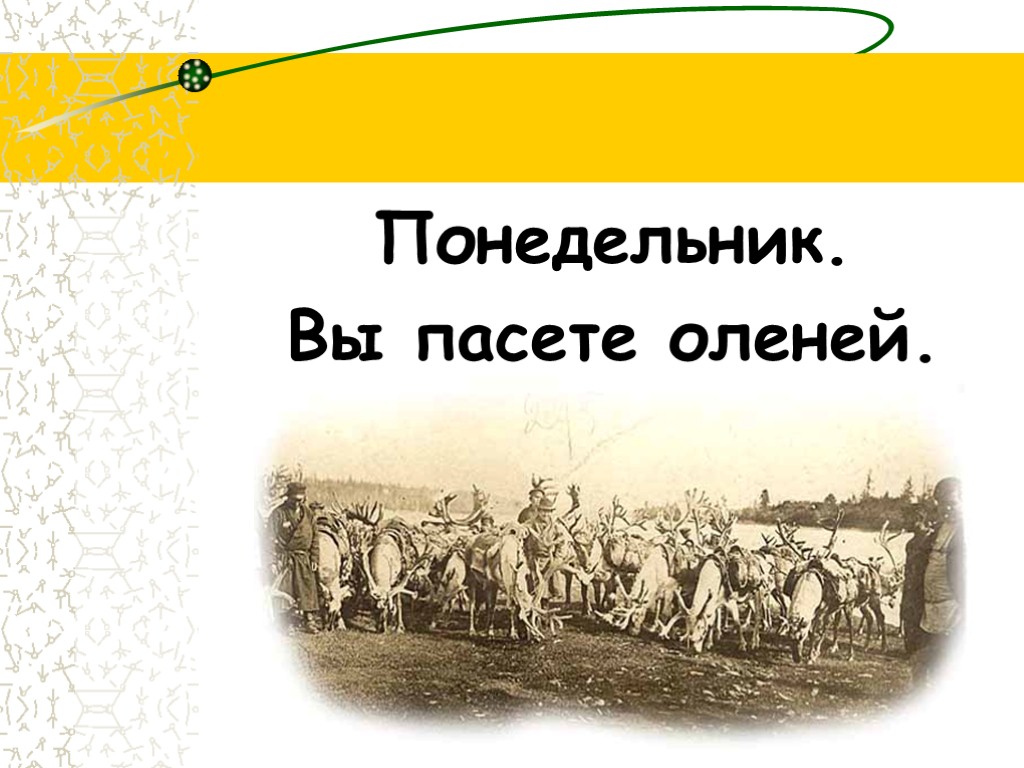 Понедельник. Вы пасете оленей.